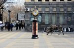ՀԱՅԱՍՏԱՆԻ ԲՆԱԿՉՈՒԹՅՈՒՆԸ ՊԱԿԱՍՈՒՄ Է ՀԱՅԱՍՏԱՆԻ ԲՆԱԿՉՈՒԹՅՈՒՆԸ ՊԱԿԱՍՈՒՄ Է